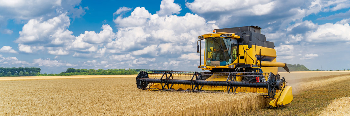 Сельхоздвор